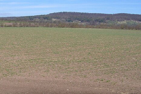 Wanzleben | Grundst&uuml;ck zu verkaufen | Industriegebiet | ca. 34.500 m&sup2;