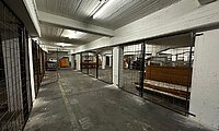 Innenansicht Halle UG