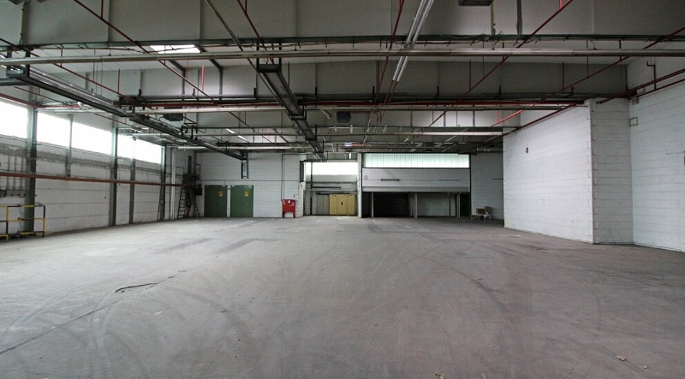 Beispielansicht Hallenfl&auml;che