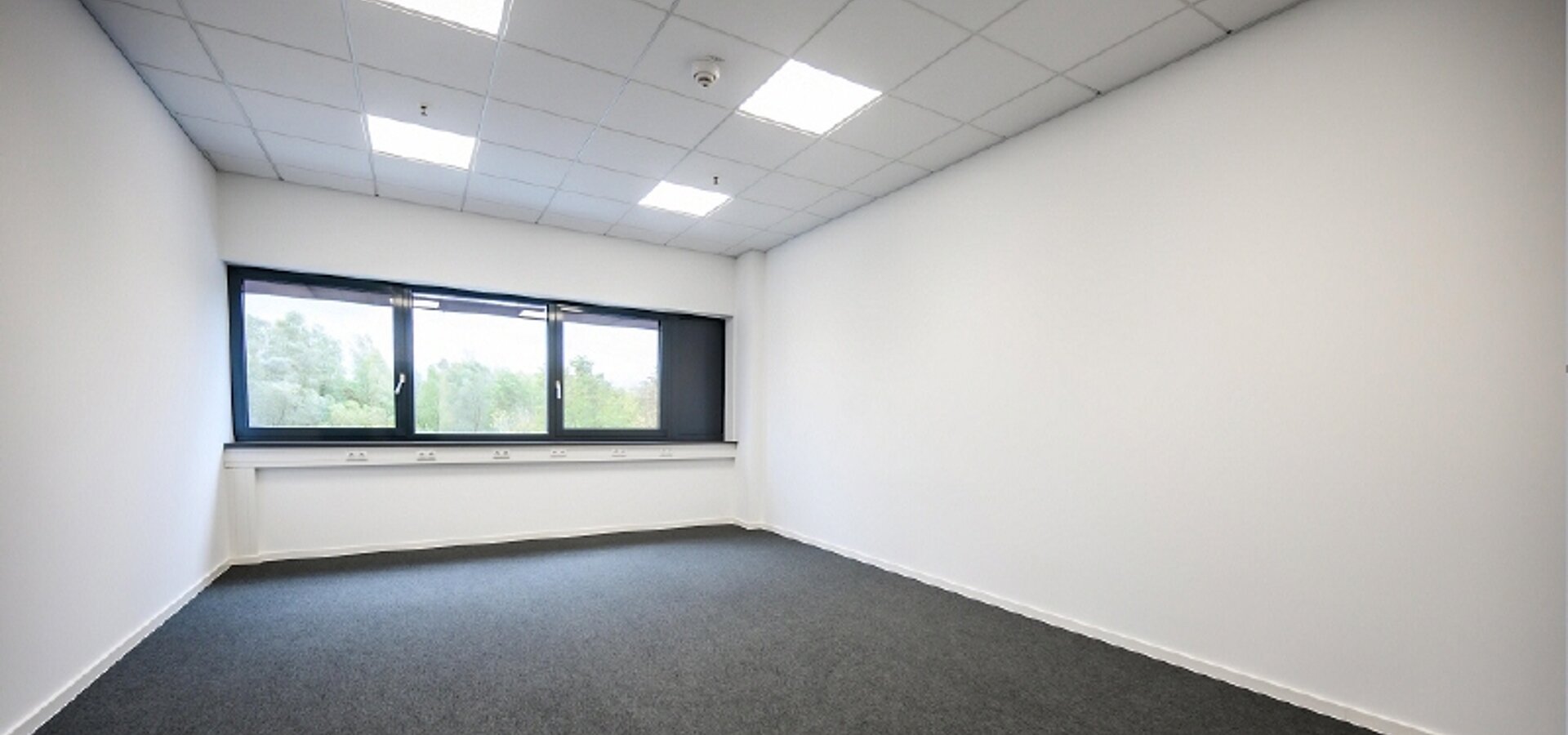 B&uuml;ro