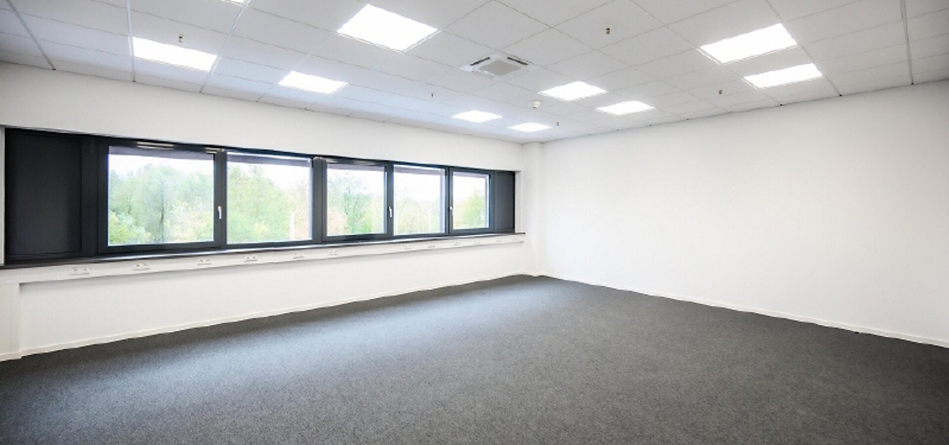 B&uuml;ro